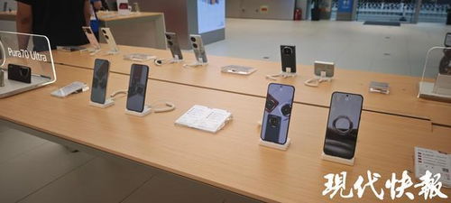 前5月南京經濟穩健增長，‘以舊換新’政策顯效，汽車與家電零售額大幅攀升